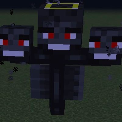 The Wither King Addon