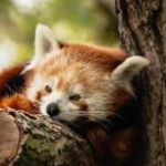 Darko9262 member profile picture