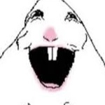 Waaaddamelon member profile picture