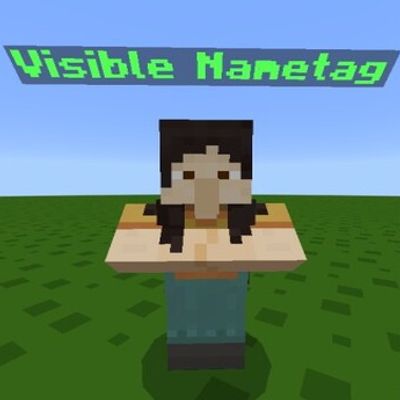 Always Visible NPC Name Tags