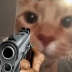 Idkgngjustleave member profile picture
