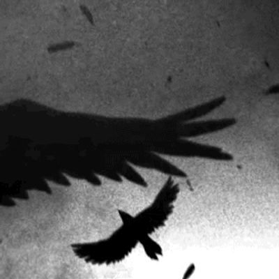 Holo PROJECT ( Horror ) logo