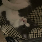 _deadnotsleeping member profile picture