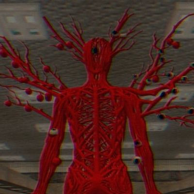 Anomaly Store logo