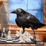 average0player member profile picture