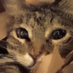 very_cool_username member profile picture