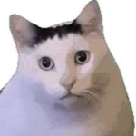 Microsollar_X_RI0T_50 member profile picture