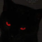 Bruces member profile picture
