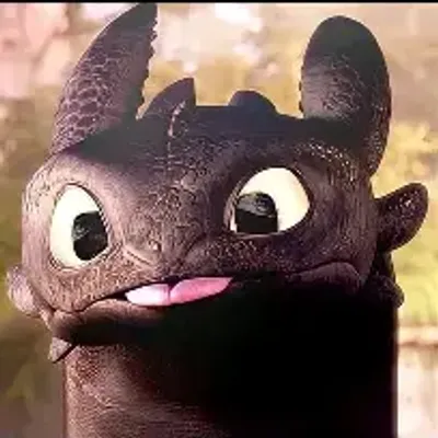 dragon survival templete