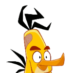 chuckthefastbird member profile picture