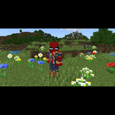 Spiderman skins