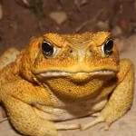 Jasper2203 member profile picture