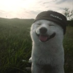View novtaves's Profile