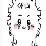 Nutria_yiyi member profile picture