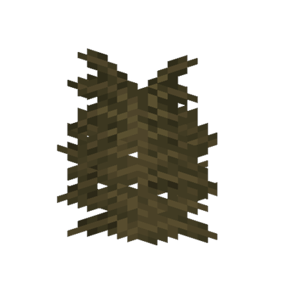 FERN!