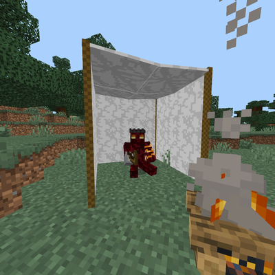 CoolTown’s Camping!
