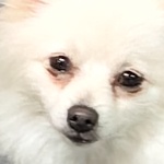 PELIGRAR2 member profile picture
