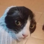 ElSevero69 member profile picture