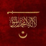 Bedir1461 member profile picture