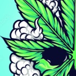 AmedeusWeedgang member profile picture
