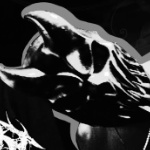 vomitgutzx member profile picture