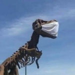 Tu_no_metes_cabra_salababiche member profile picture