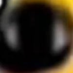 View Dylxo's Profile