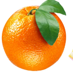 The_normal_orange member profile picture