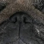 Uhhhidkwhyiamhere member profile picture