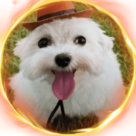 kicojavier24 member profile picture