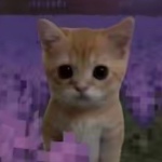 Obada member profile picture