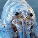 icecreamthereguys member profile picture