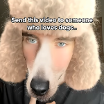Randomhorrorkid member profile picture