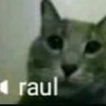 Kaoriu member profile picture