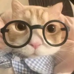 Mthias_Ghamers member profile picture