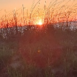 MIREPOIX member profile picture