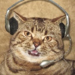 Daisysims member profile picture