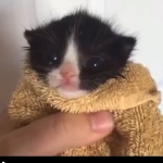 DiegoooooXD member profile picture