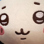 Skibidy_or_somehting member profile picture