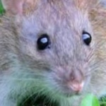 joalalallajajdjwkd member profile picture