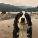 PaidLarper7983 member profile picture