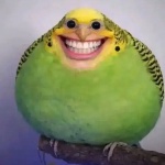 MrBert member profile picture