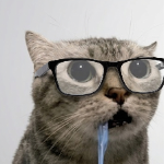 LResource member profile picture