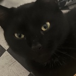 r0ttenflesh member profile picture