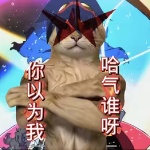 madoka8177919 member profile picture