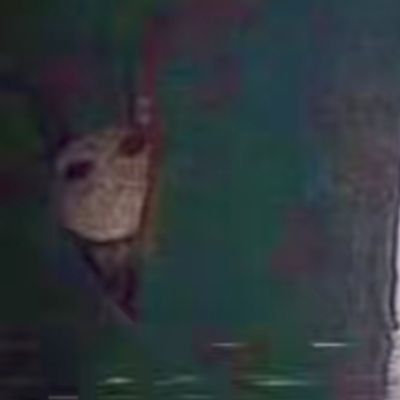 The Stalker Nightmare logo