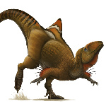 C0NCAVENATOR member profile picture