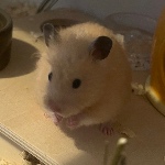 W1zardAlex member profile picture