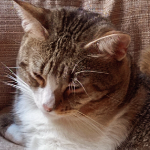 Nick_23_00 member profile picture