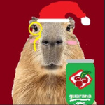 DOZECAT123565 member profile picture